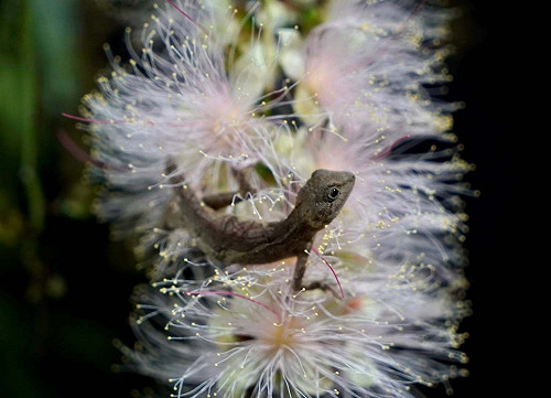 《免於恐懼看無常》～微解封的省思