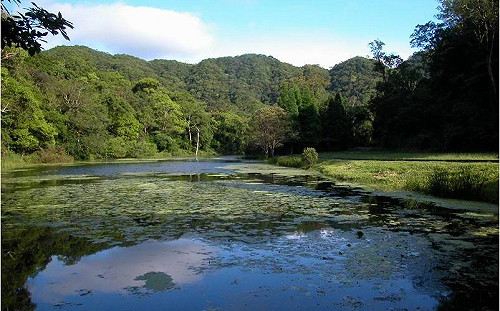 低氣壓影響劇烈!已申請福山植物園入園者明後天可彈性延後