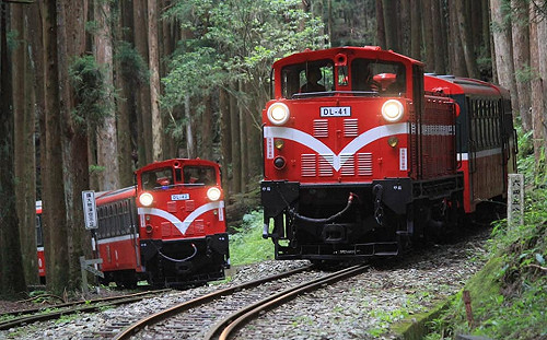 脫口罩親近大自然！林務局：10/5起調高森林遊樂區人數承載量