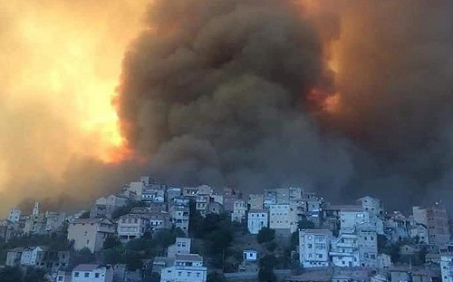 氣溫高達46度 阿爾及利亞野火肆虐 42人死亡 3名縱火犯被捕