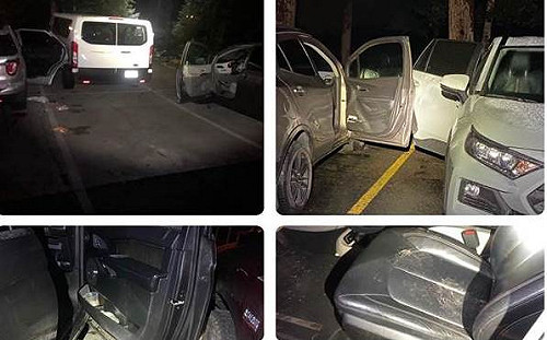 小熊冒險記！ 美國科州小熊夜偷開車門「闖入」8輛車