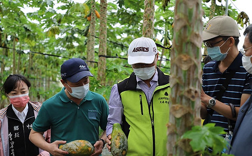 南台灣豪雨農損達4億！農委會：農民災害逾2成就可請領現金救助