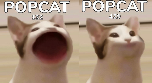 登頂啦！「POPCAT」迷因貓點擊大賽 台灣網友成世界級鍵盤俠