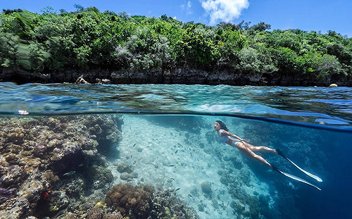 帛琉2例境外移入！ 外交部：「台帛旅遊泡泡」將滾動式檢討