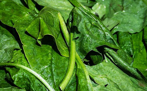 菠菜只會用清炒？他端出1道「菠菜拌豆皮」全驚艷