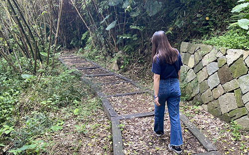 台北超療癒絕美秘境！探訪陽明山半嶺聚落  感受不一樣的自然生態