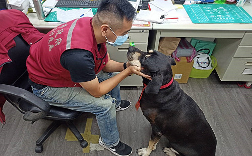 打造友善動物環境 新北民間企業帶狗上班免費打狂犬病疫苗
