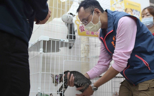 友善動物城市從「里」出發   新北首辦傑出動保里長獎開跑