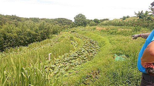 新北市邀友善環境耕作者參與「生態服務給付」說明會