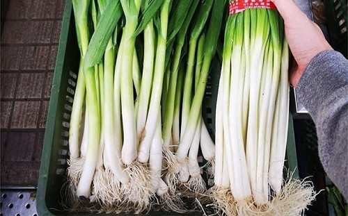 蒜苗、青蔥常搞混？菜販曝3點秒解