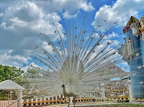 開學前夕台南景點湧人潮！業者祭優惠遊客暴增2倍