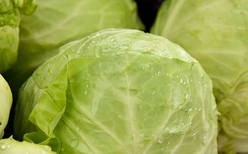 高麗菜太硬怎解決？內行曝質變訣竅