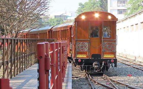 森林遊樂區再鬆綁！阿里山小火車乘客上限提高、5山屋開放入住