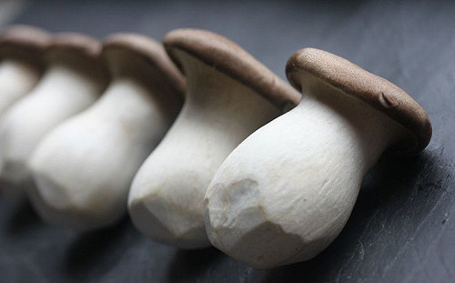 杏鮑菇還在清炒？1招秒變鮑魚爽吃