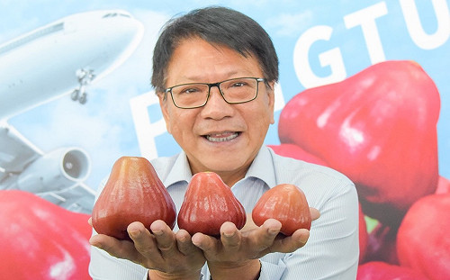 蓮霧不能成為打壓貿易的工具！潘孟安：果粒醬.果乾.果露 吃爆買起來