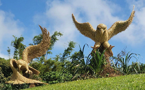 墾丁鷹季到 社頂公園地景藝術成打卡熱點