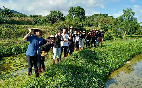 新北推「農創e遊券」 9/22開放登記 限量2千份