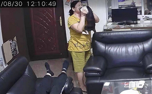 (影)嘴巴說不養卻被拍到偷吸貓　她笑：誰家阿嬤也這樣？