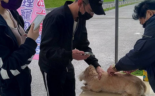 世界狂犬病日起跑 新北動保處持續舉辦33場巡迴注射