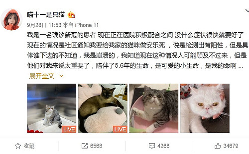 貓奴怒了！被指「採陽」 寵物貓不治療火速「安樂死」