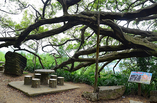 2021台北國際夏季暨秋季聯合旅展 打造新北旅遊新風潮