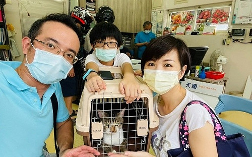 愛滋貓車禍骨折 新北動保處照康復為牠找到新家