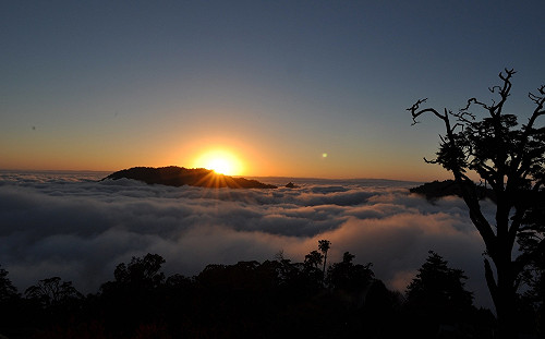 國慶連假賞雲海！大雪山、八仙山森林遊樂區入園半票