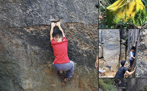 與「大方體驗自然」關係錯綜複雜？陽管處：2017年後已無任何合作關係