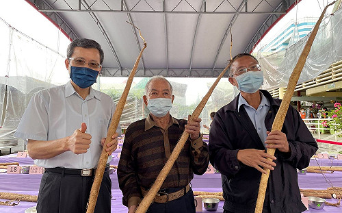 新北山藥冠軍誕生 推全運金牌山藥