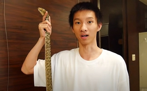 換臉黃片受害者眾多！衛福部教3步驟求助：不持有、不轉傳