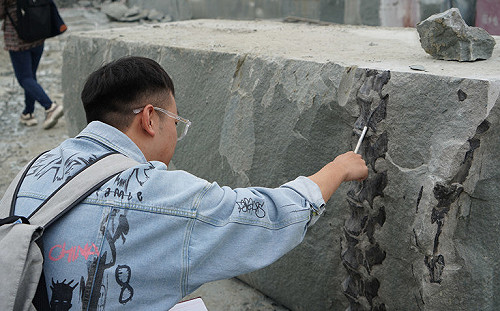 考古學重大發現！中國四川隆昌距今約1.6億年前侏儸紀恐龍化石出土