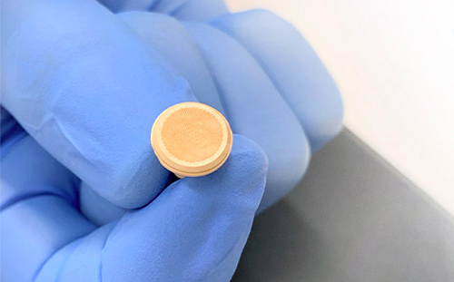 澳洲研發疫苗貼片 動物實驗證實 免疫反應比針劑更快更有效