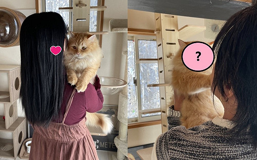 橘貓拒絕不給抱！他嘆：男女有別？