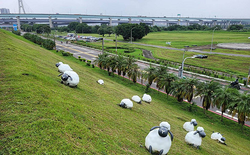 幕後無名愛德華剪刀手 成就新北三重大漢溪堤坡清幽風景