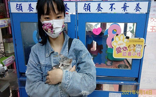 新北70間愛心認養小棧助4737隻犬貓幸福 侯友宜表揚前十名