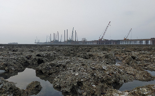 林惠真指三接恐讓水溫上升變「海鮮鍋」!中油:是排放冷水