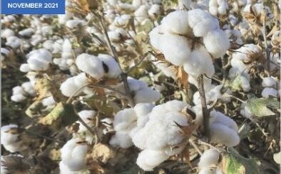 外交緊張加上新疆奴工問題 美國時尚業大砍「中國供應」