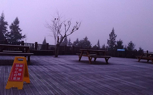 今晨降至0度 太平山莊地面結霜遊客樂拍照