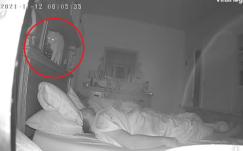 (影)貓咪「冷水澆奴才」！他瞬間驚醒