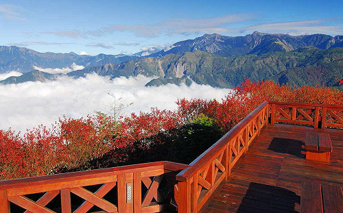 秋天皮膚乾、鼻屎多好困擾！中醫師：少吃「這5食物」改善