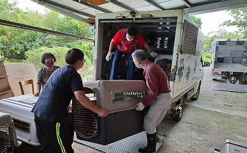 老字號劉香蘭動物收容所退場 新北動保處助50毛孩找到新家