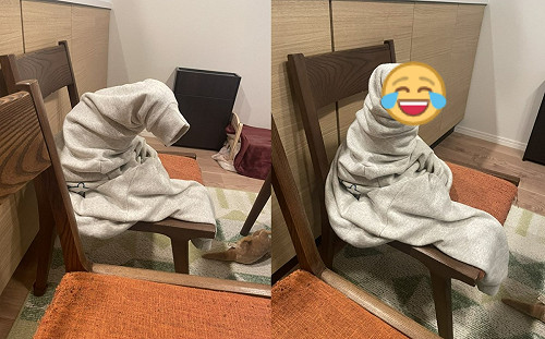 驚見椅子出現灰衣怪獸！網笑：ET？