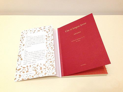 理性與感性，《一封好長的信》