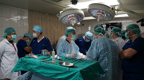 成大、杜克大學牛隻實驗 開啟心臟手術新頁