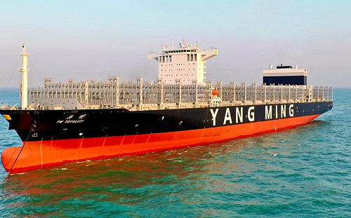 陽明年終被長榮「海放」惹怒員工？公司低調回應