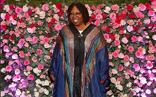 66歲琥碧戈柏驚傳確診新冠肺炎！打完三劑仍「突破性感染」