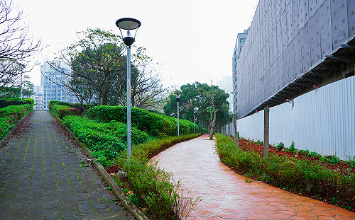 穿梭都會與林間的綠意小徑 新北林口再添綠化步道