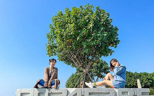 高雄市境之南樹廣場重新啟用  過年最夯網美照拍攝景點