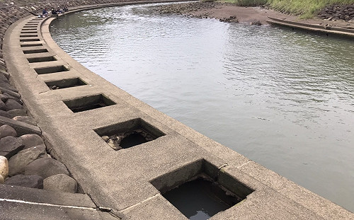 新北公司田溪護岸修復保生態 治理工程不來硬的