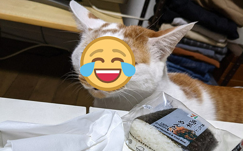 桌上有食物！橘白貓皺眉哀怨偷看